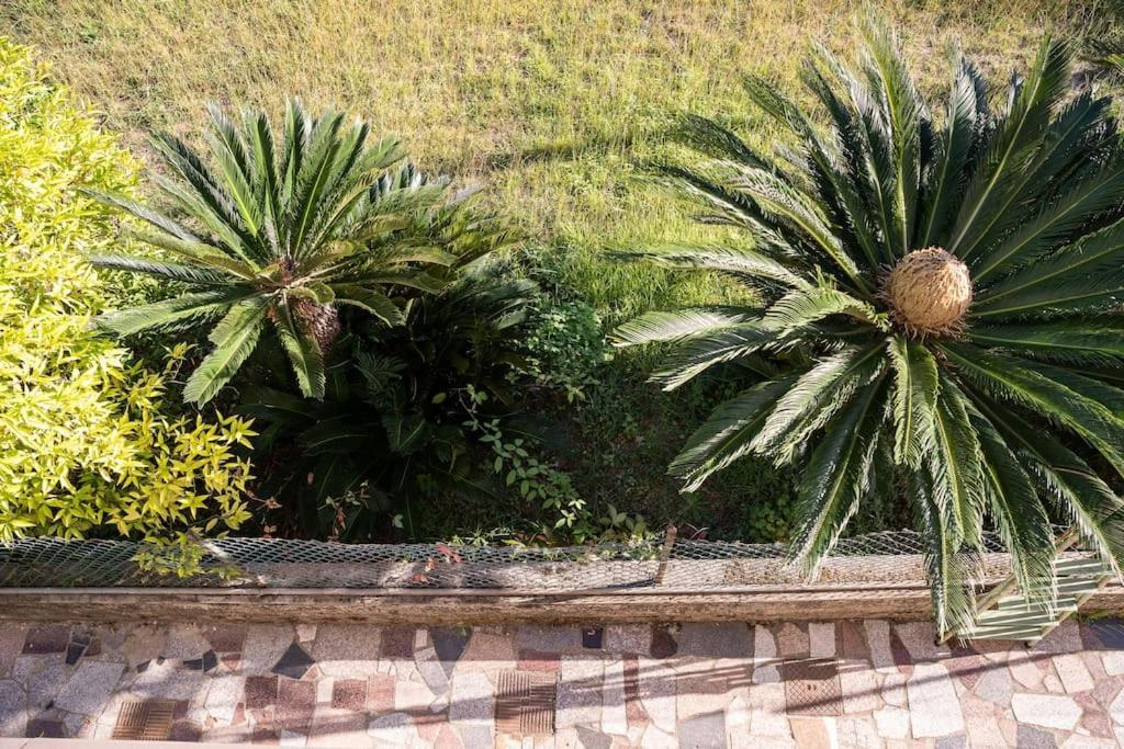 Ferienwohnung Art Of Living 100 Meters From The Sea. Marina di Pietrasanta Exterior foto